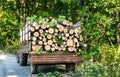 Logs folded on the tractor Royalty Free Stock Photo