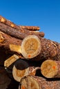 Logs Royalty Free Stock Photo