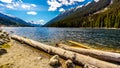 Logs laying on the shore of Duffey Lake