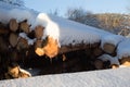 logs outside in a winter forest