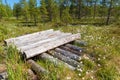 The logs are piled on a forest swamp on Anzersky Island Royalty Free Stock Photo