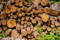 The logs piled up on top of each other, the end to the viewer. Horizontal photo