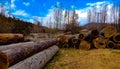 The Logs are placed beautifully and the blue colour of sky covered by clouds gives this pic more attraction