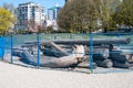 Logs removed and fenced off at a beach to discourage people from sitting close to one another during the COVID-19 pandemic.