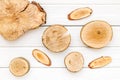 Logs, sawcut pattern for blog on white wooden background top view Royalty Free Stock Photo