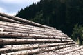 Logs in a sawmill yard. Stacks of woodpile firewood texture background. Tree trunks cut and stacked in the bush. Timber Royalty Free Stock Photo