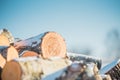 Logs sawn a wood on a background of blue sky. Close up.