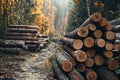 Logs scattered along autumn woods path, natures rustic beauty Royalty Free Stock Photo