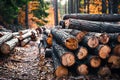 Logs scattered along autumn woods path, natures rustic beauty Royalty Free Stock Photo