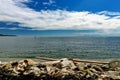 Logs on the Sechelt Beach, Sunshine Coast, BC, Canada