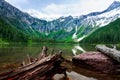 Logs on the shore of Avalanche Lake in Glacier national park Royalty Free Stock Photo