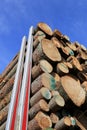 Logs Stacked Up on a Logging Truck Trailer with Blue Sky