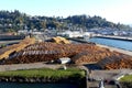 Logs stacked up waiting to be shipped in the USA