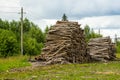 Logs stored in stacked piles Royalty Free Stock Photo