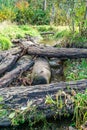 Logs And Stream Royalty Free Stock Photo