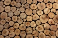 Logs texture background with lighting from downlight Royalty Free Stock Photo
