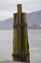 Logs tied up on the Ohio river