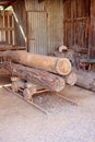 Logs On A Vintage Gold Mining Trolley