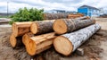 Logs waiting at timber yard for processing Royalty Free Stock Photo