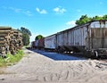 Logs waiting to be transported by railroad