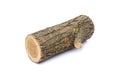 Logs on white background, studio photo, acacias tree Royalty Free Stock Photo