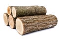 Logs on white background, studio photo, acacias tree