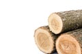 Logs on white background, studio photo, acacias tree Royalty Free Stock Photo