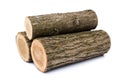 Logs on white background, studio photo, acacias tree Royalty Free Stock Photo