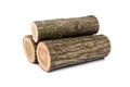 Logs on white background, studio photo, acacias tree Royalty Free Stock Photo