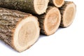 Logs on white background, studio photo, acacias tree Royalty Free Stock Photo