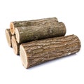 Logs on white background, studio photo, acacias tree Royalty Free Stock Photo