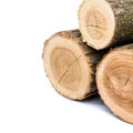 Logs on white background, studio photo, acacias tree Royalty Free Stock Photo