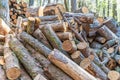 Logs of wood in a pile ready to be cut and chopped for firewood in a fireplace and boiler Royalty Free Stock Photo