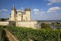 Loire's Valley Royalty Free Stock Photo