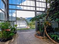 Lokoing out through the open door of a greenhouse in Thiland Royalty Free Stock Photo