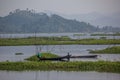 Loktak Lake, Manipur, Asia`s largest freshwater lake, India Royalty Free Stock Photo