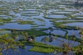 Loktak Lake, Manipur, Asia`s largest freshwater lake, India