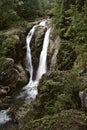 Lolaia waterfall, National Park Retezat, Romania Royalty Free Stock Photo