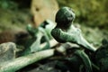 human remains bones piled up in a cave as a sign of respect of the passed away village chief Royalty Free Stock Photo