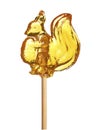 Lollipop squirrel shape russian style isolated on white