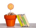 Lollipops and books Royalty Free Stock Photo