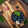 Lollipops made from natural fruits and berries. Healthy food and vegetarian food concepts Royalty Free Stock Photo