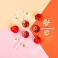 Lollipops made from natural fruits and berries. Healthy food and vegetarian food concepts Royalty Free Stock Photo