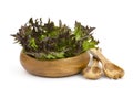 Lollo rosso lettuce in a bowl