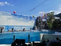 A Loma show in a big pool at Safari World & x28;an open air zoo in Bangkok, Thailand& x29;