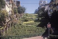 Lombard Street, the crookedest street in the world in San Francisco, California Royalty Free Stock Photo