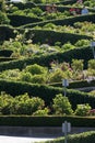 Lombard Street, the crookedest street in the world, San Francisco, California Royalty Free Stock Photo