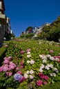 Lombard street, San Francisco Royalty Free Stock Photo