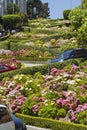 Lombard Street San Francisco