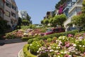 Lombard Street San Francisco